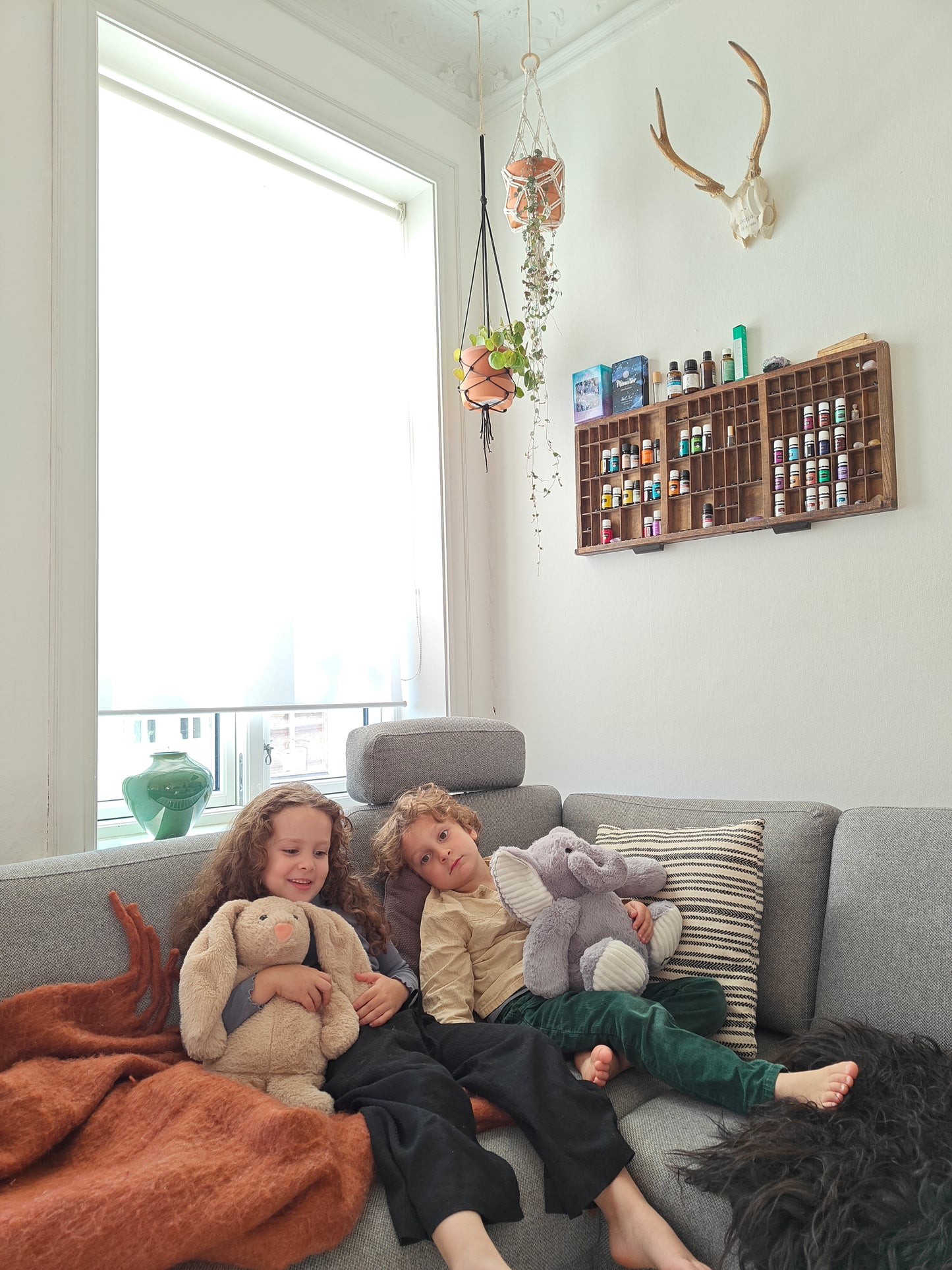 elefant tyngdebamsen 1,5 kg